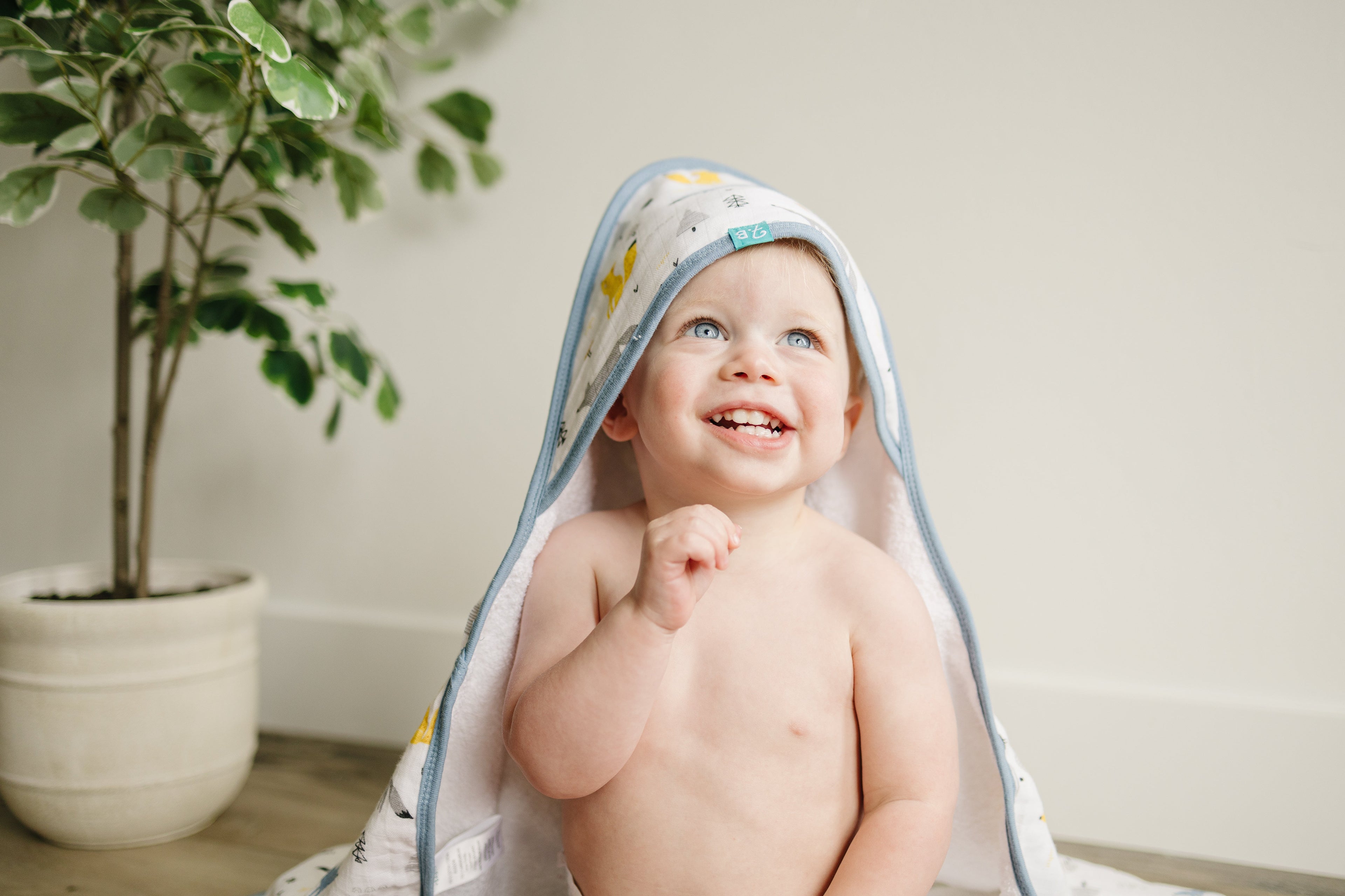 Hooded Towels & Washcloths