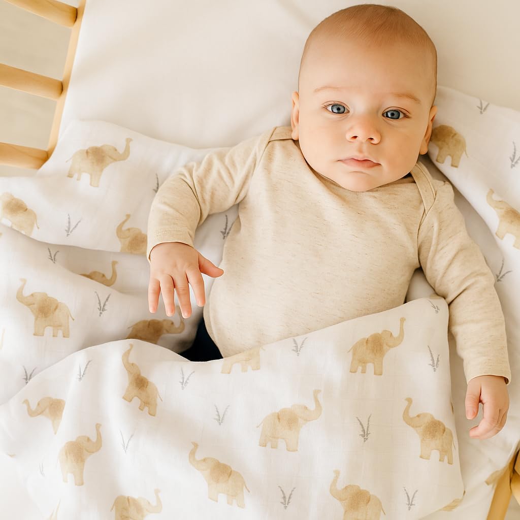 2PK Swaddle Blanket - FB-07129