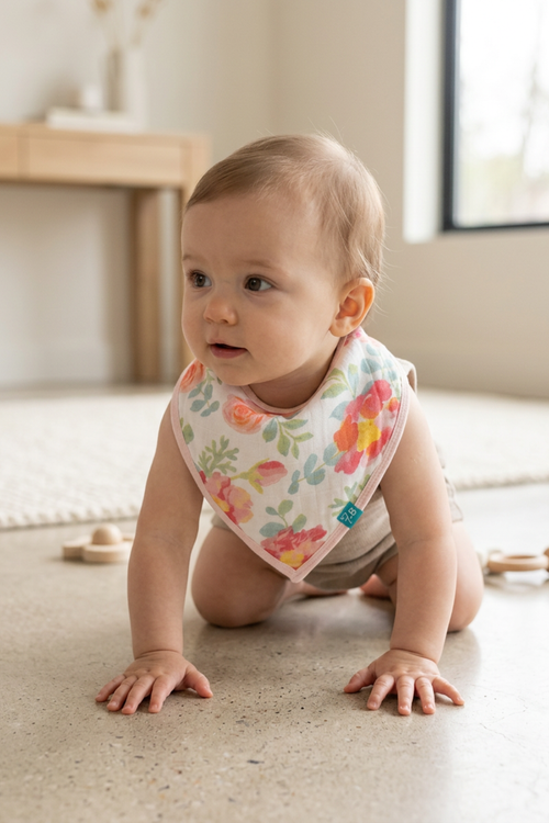 Bandana Bib Pack Of 6 - FB-08102